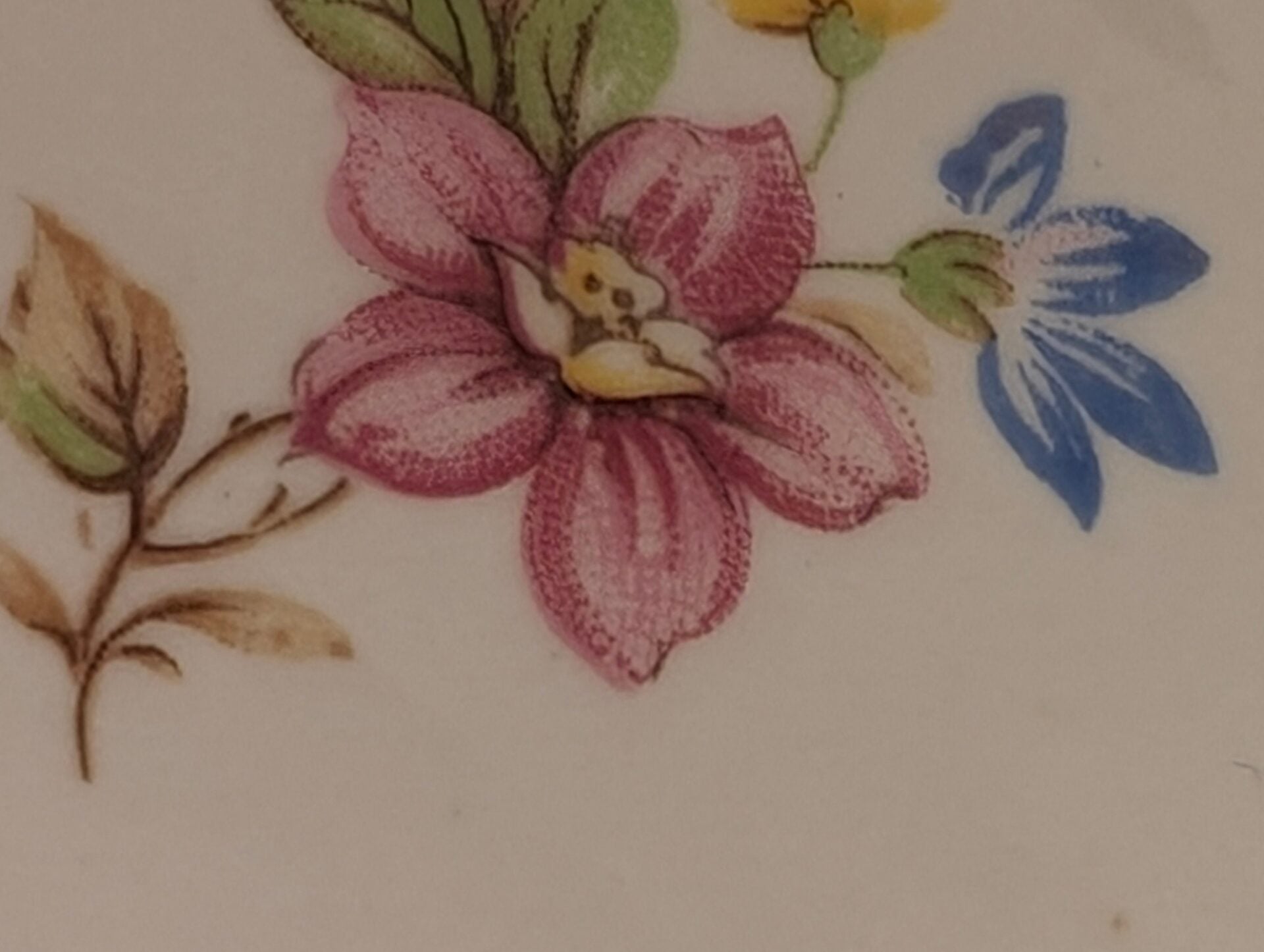 Duchess Bone China Teacup & Saucer Set with Delicate Floral Pattern and Gilt Trim-Made in England image 9