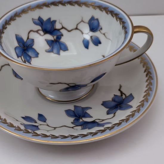 A short video showing a 360 view of a 1940s Rosenthal Blue Danube Cup & Saucer